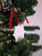 Snowflake acrylic ornament 2pc