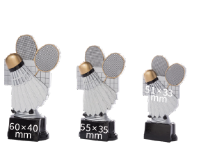 Badminton Shuttlecock and Racket made with resin
