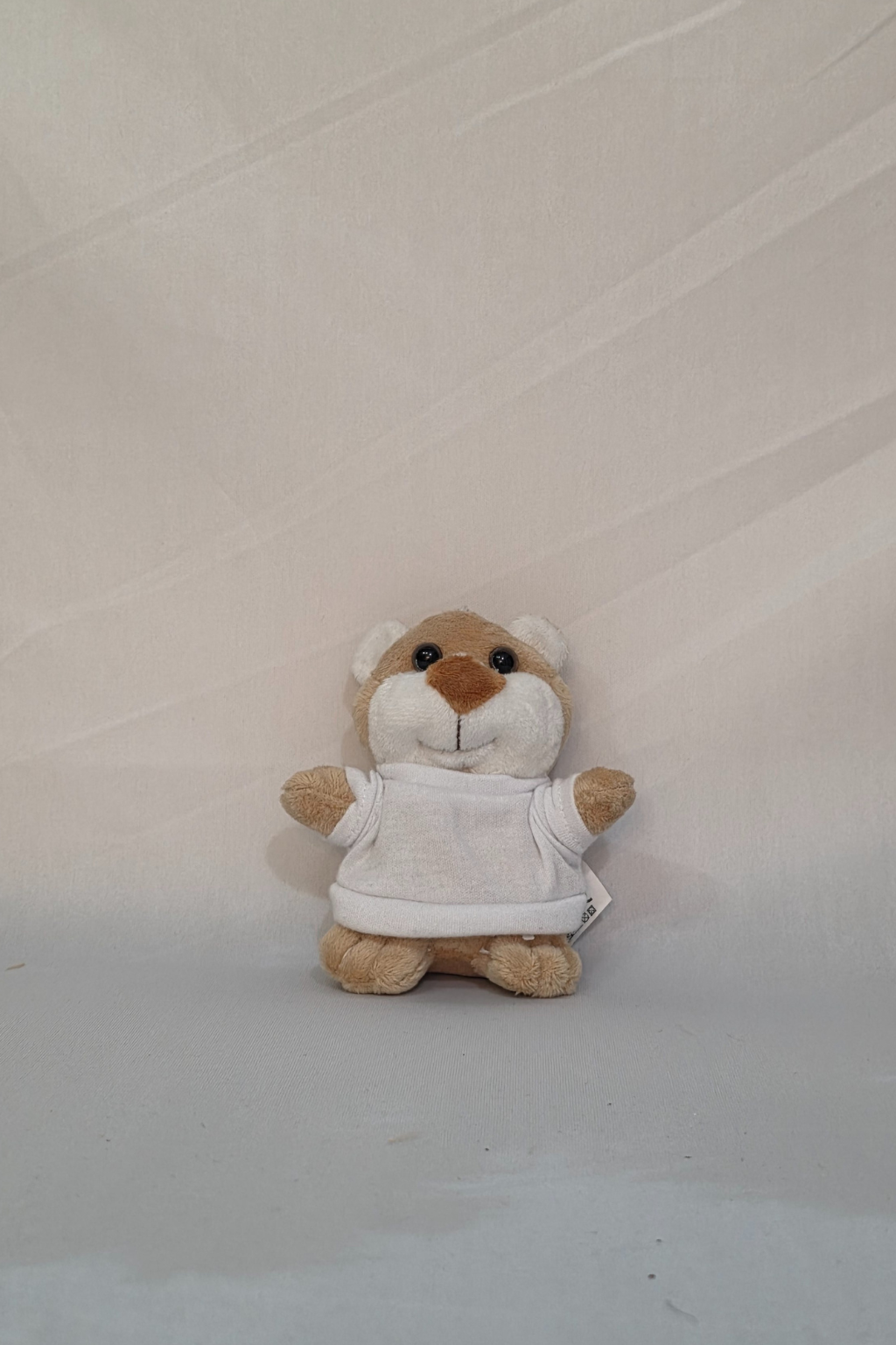 Keychain Plush Bear with T-Shirt - 10 cm