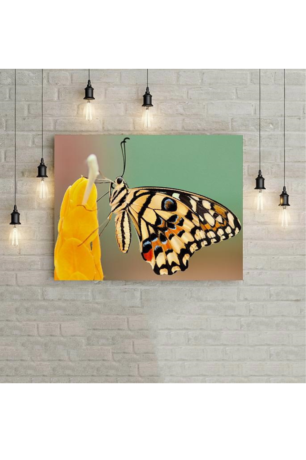 Aluminum Metal photo panels on wall